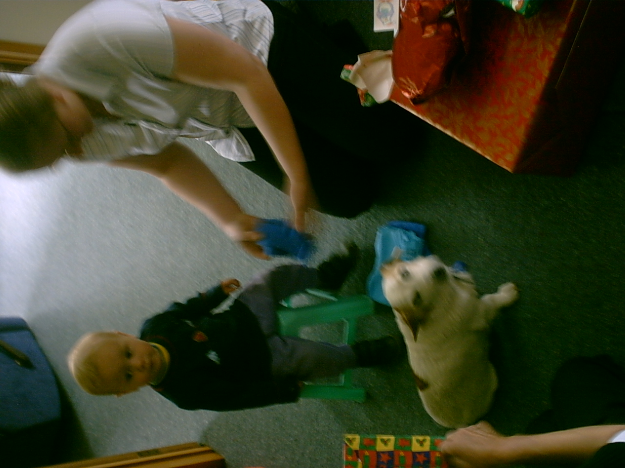 2004_Christmas/Tivoli Luke opening 2.jpg